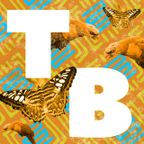 Tropical Beats Radio Show March '20 Feat. Son Palenque, Let Drum Beat, Onipa, Lua Preta, FGON, Bonga