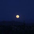 Kouzelnik vs. Venificus - 2020-08-31 live at Playa del Fuego virtual burn sunrise