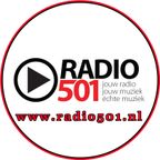 2019-01-06 - Radio501 Blues on Sunday - Rogier van Diesfeldt