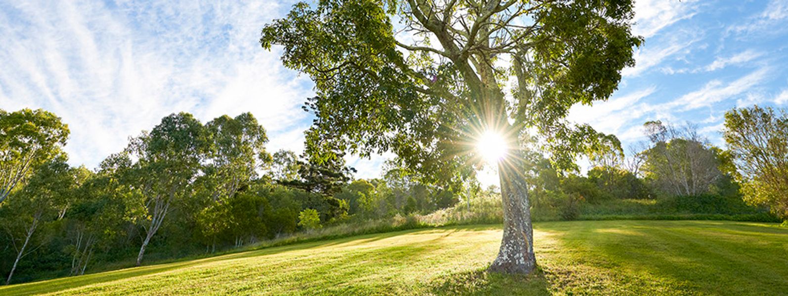 Al Ihsan Academy s Shows Mixcloud