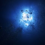 Voices from the Deep