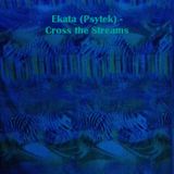 Ekata (Psytek) - Cross the Streams (Forest)
