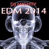 DJ Mighty - EDM 2014