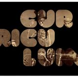 Curriculum Podcast 4