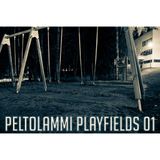 milo - Peltolammi Playfields 01