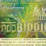NEW*2013 FEB**RIDDIM INDO MEGAMIX "JAH YOUTH PRODUCTIONS 2013"