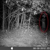 Seeing Spiritual Beings Natural or Supernatural
