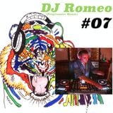 Viele bunte Farben Podcast #07 - Dj Romeo (Progressive House)