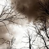 Breathethisair