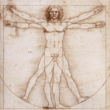 The renaissance