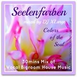 DJ XLarge - Seelenfarben (Vocal Bigroom House Mix 30mins)