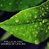 Atilla Altaci - Source of Life #13