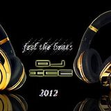 Dj Ice _-_ Feel The Beats