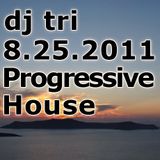 Dj tri - 8.25.2011 Progressive House/Electro