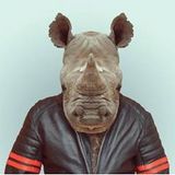 RYNO Podcast Mars 2014
