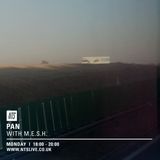 PAN w/ M.E.S.H. - 1st February 2016