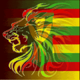 Ancient Future - mix of reggae jams mashes and more