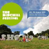 Big Chill 2009 DJ Set
