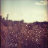 Simple Things