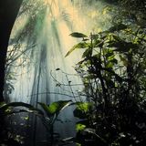 Deep Down Below