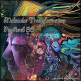Molecular Transformation - PsyAmb 80
