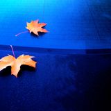 DJ Leon El Ray Presents The Autumn Lounge