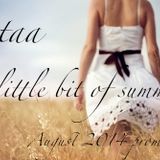 kataa - A little bit of summer (August 2014 promo mix)