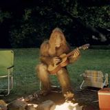 Squatch Samples
