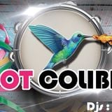 Caribbean Mix Session - DJ Sown - Hot Colibri - 31.01.2015 - Soc'olibri (Soca-Azonto)