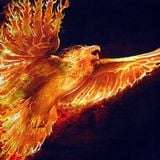 Rise Of Phoenix
