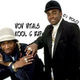 Villain Of Vinyl Vitals....Kool G. Rap (Kool Is Back)