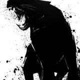Random analog mix encounter 017 (The shadow of jaguar)