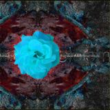 NagualOhr - Shadow Lights Part 1