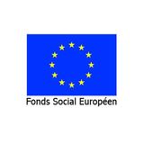 FSE, la galère au sommet