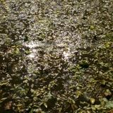 von Bruber - Sincron City Oct'14