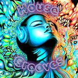 House Grooves - Elements of House 1st hr - LIVE (2015-12-05)