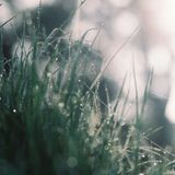 Ta sẽ làm chi đời ta - Phạm Lữ Ân