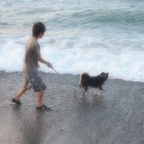 優しさは、常にそばにあるよ。~siempre la ternura es casi ~