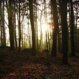 Spring Awakening : : Chill set