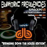 euPHoRiC FReQueNCieS ep15 Bringing down the House - digit@l buddha