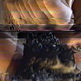 Episode #12: uNC/pLair))))------able, 01.31.16