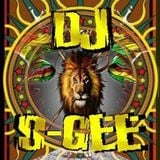 DJ S-GEE BIRTHDAY DNB SET ALONGSIDE MC BRIM, MC STYLA & MC CHAT 19-07-2015 (www.reactionradio.co.uk)
