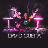 David Guetta - DJ Mix (20.04.2013)