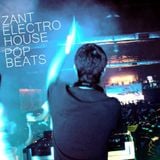 DJ ZANT - MIX PARA BEAT 90.1