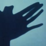 #3: The Owl Vendetta