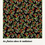 les fraises dans le radiateur #5 - La décentralisation ?