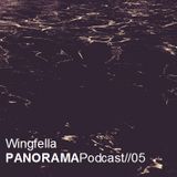 Panorama Podcast 05