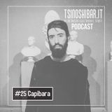 NoProblems presents Tsinoshi Podcast #25: Capibara