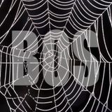"BOS" aka Beware Of Spajder