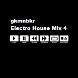 Electro House Mix 4